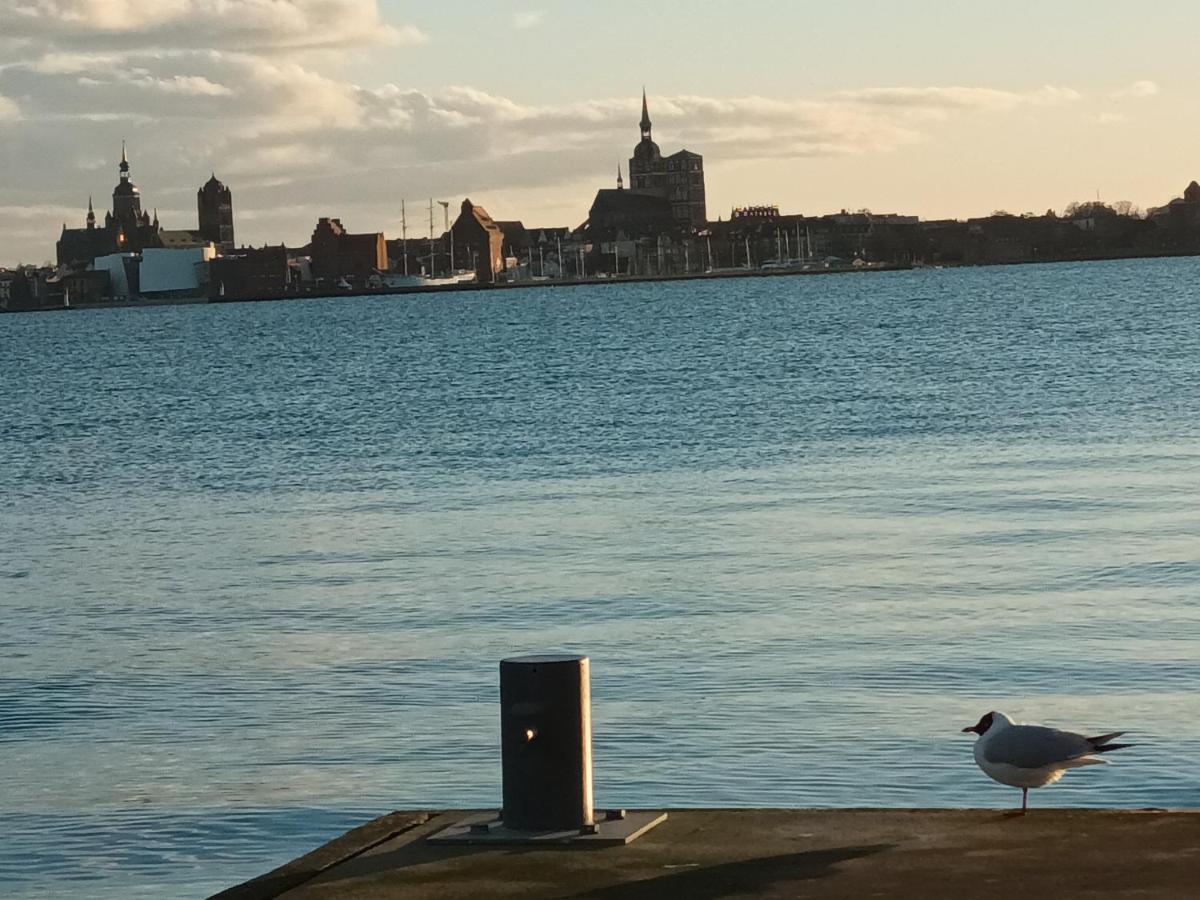 Ferienwohnung Meerblick Og Altefähr Zewnętrze zdjęcie